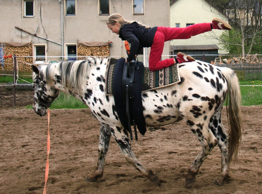 Kinder auf dem Pferd Vulkan