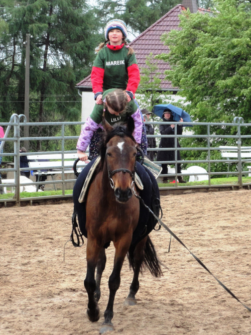 Kinder auf dem Pferd Vulkan